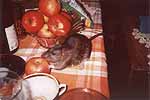 Gryzli&Apple