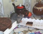 Dusya est tort