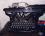 Liska